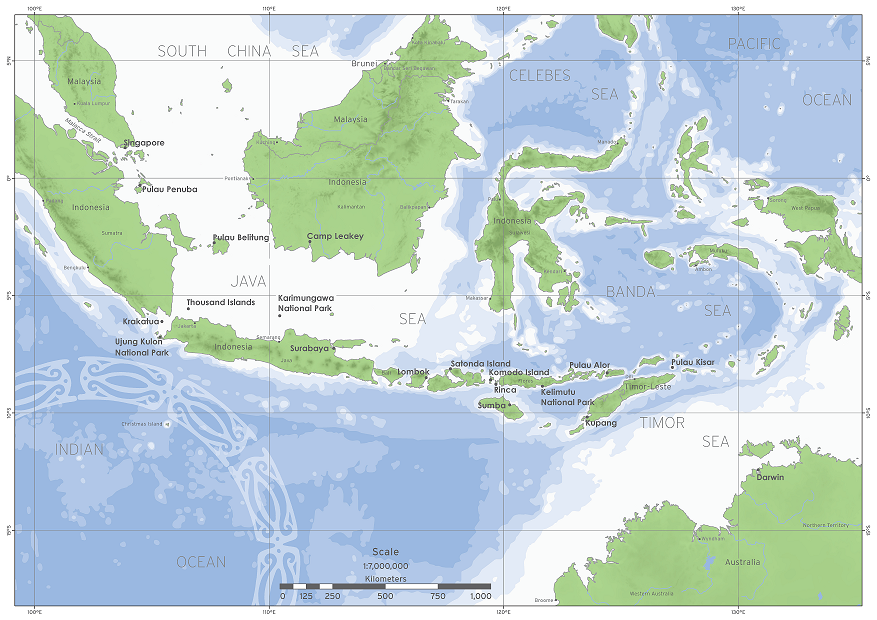 Tour Maps for Cruise Ship